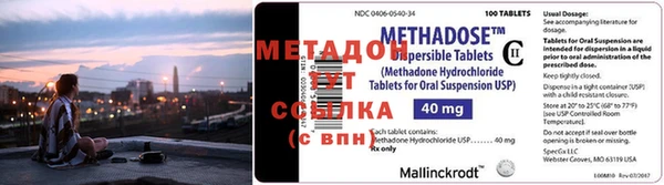 ПСИЛОЦИБИНОВЫЕ ГРИБЫ Осинники