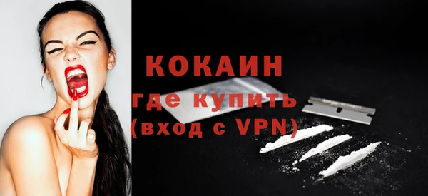 ПСИЛОЦИБИНОВЫЕ ГРИБЫ Осинники
