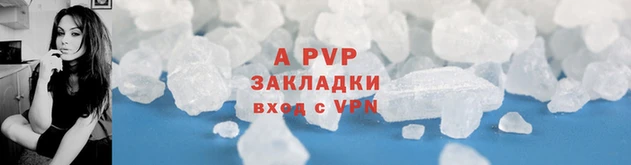 ПСИЛОЦИБИНОВЫЕ ГРИБЫ Осинники