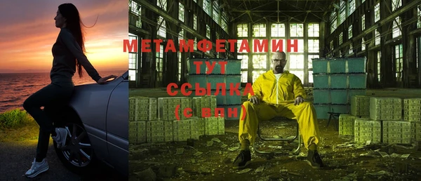 ПСИЛОЦИБИНОВЫЕ ГРИБЫ Осинники