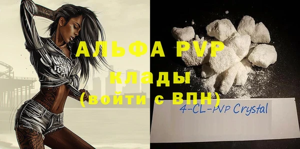 ПСИЛОЦИБИНОВЫЕ ГРИБЫ Осинники