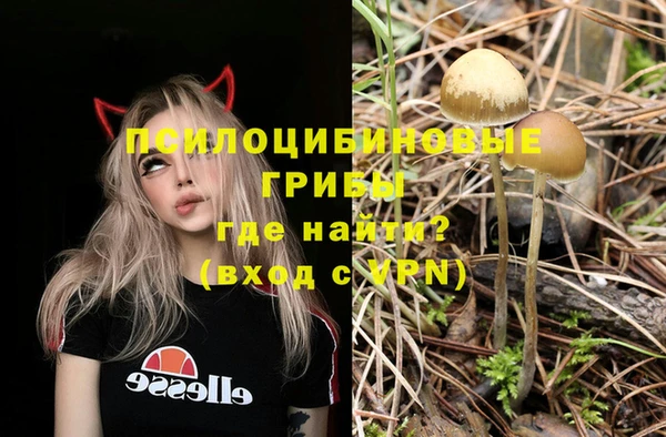 ПСИЛОЦИБИНОВЫЕ ГРИБЫ Осинники