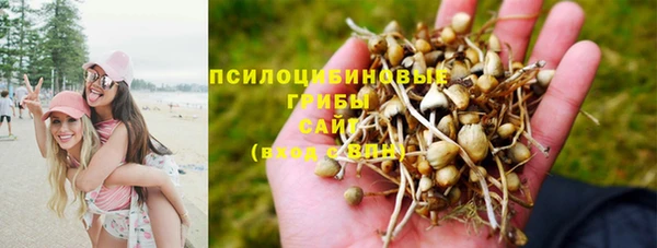 первитин Осташков