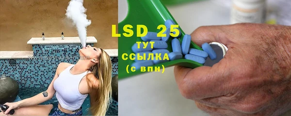 ПСИЛОЦИБИНОВЫЕ ГРИБЫ Осинники