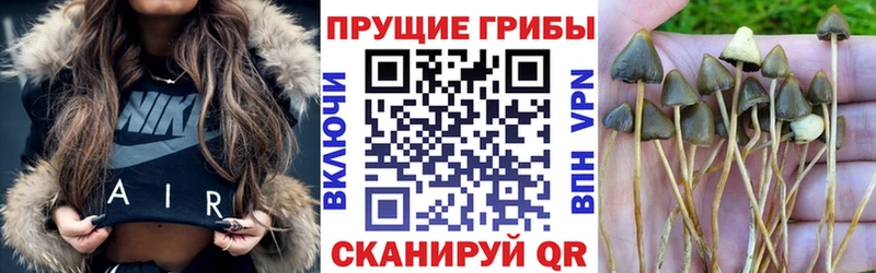 Галлюциногенные грибы MAGIC MUSHROOMS даркнет состав Ужур